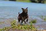 STAFFIE 148